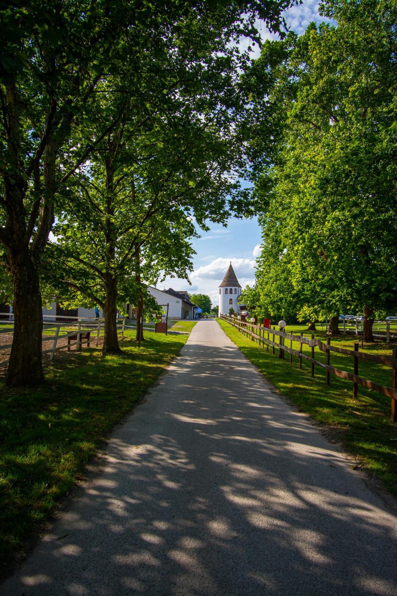 Hotel Villa Majur Subotica Bagian luar foto