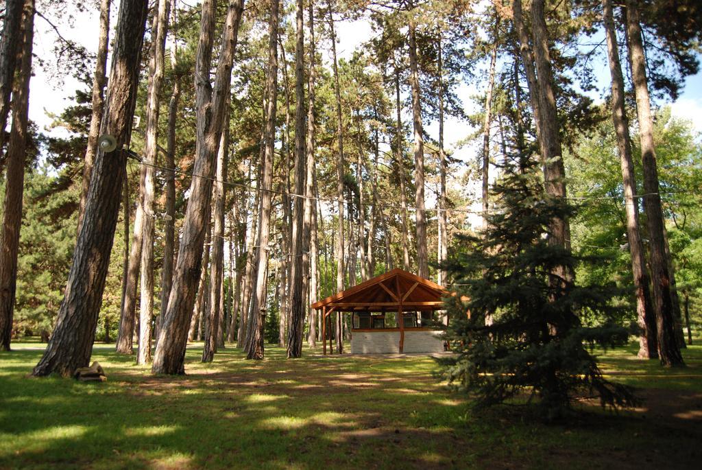 Hotel Villa Majur Subotica Bagian luar foto